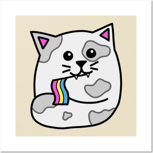 pan pride flag cat Posters and Art